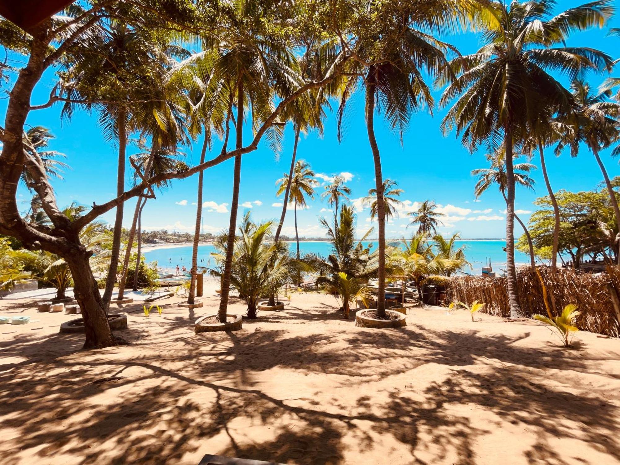 Auberge de jeunesse Coconut Hill Baie d'Arugam Extérieur photo