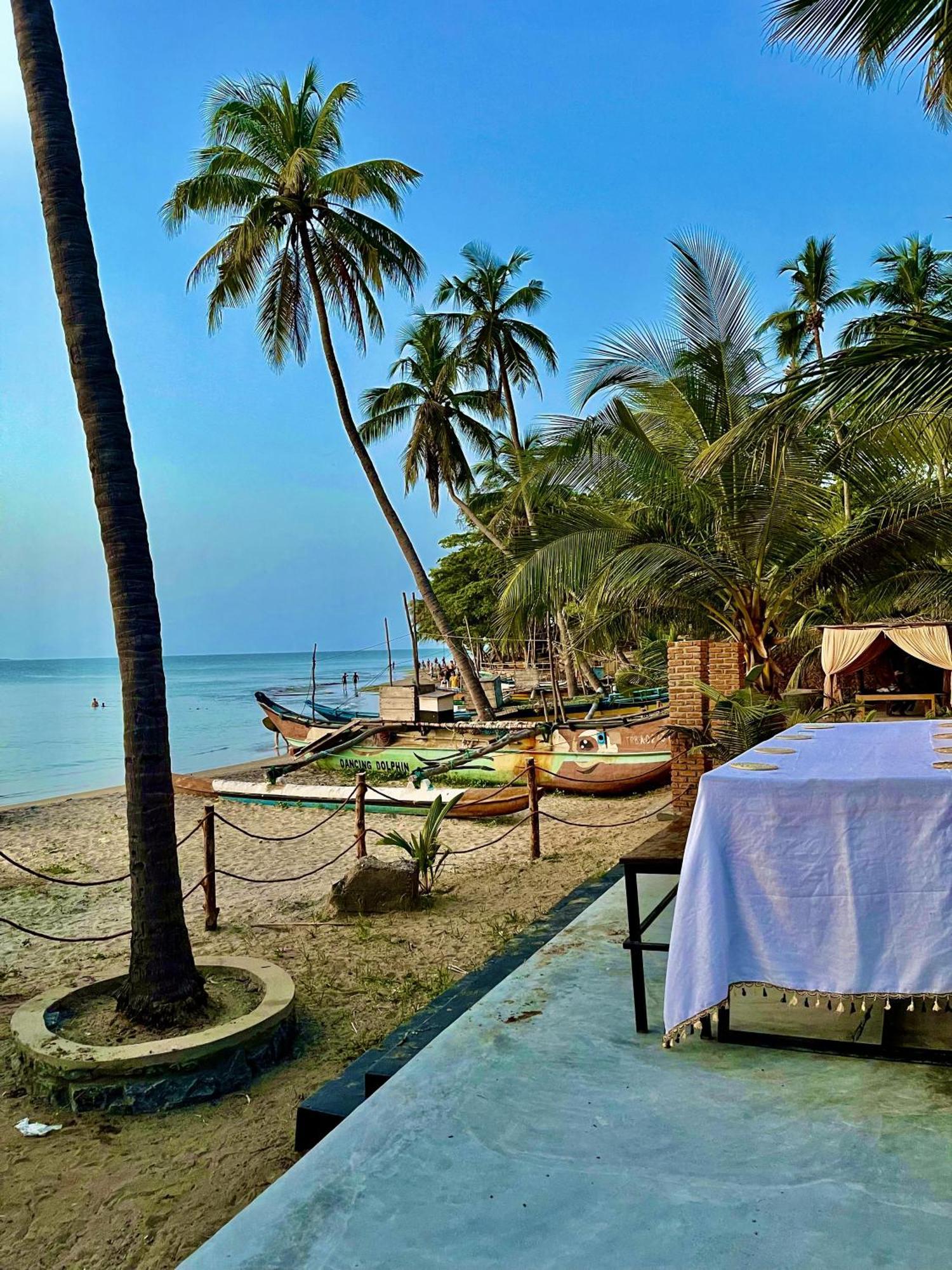 Auberge de jeunesse Coconut Hill Baie d'Arugam Extérieur photo